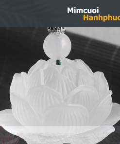 Dây treo xe ô tô phong thủy hoa sen Phật, chuỗi hạt nhiều may mắn - MCHP002 3 Dây treo xe ô tô phong thủy hoa sen Phật, chuỗi hạt nhiều may mắn - MCHP002